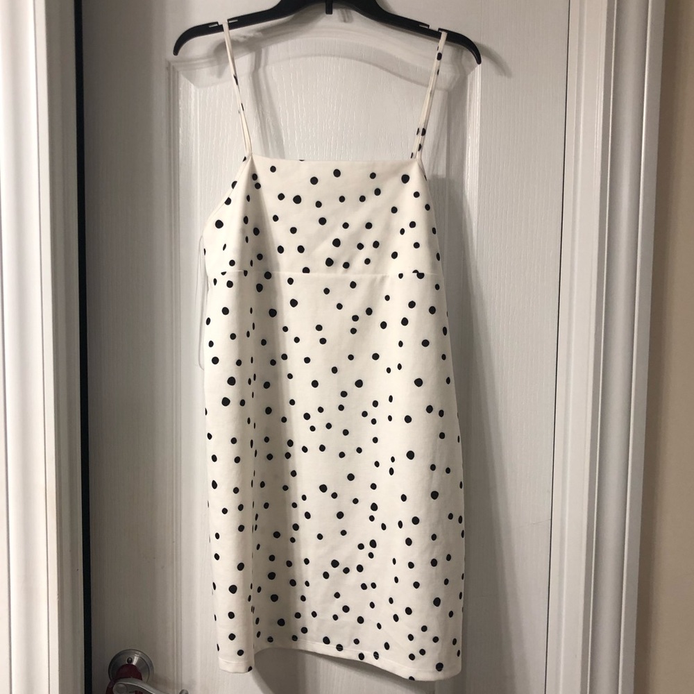 Zara polka dot dress